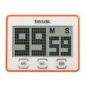 Digital Timer with Jumbo Readout
