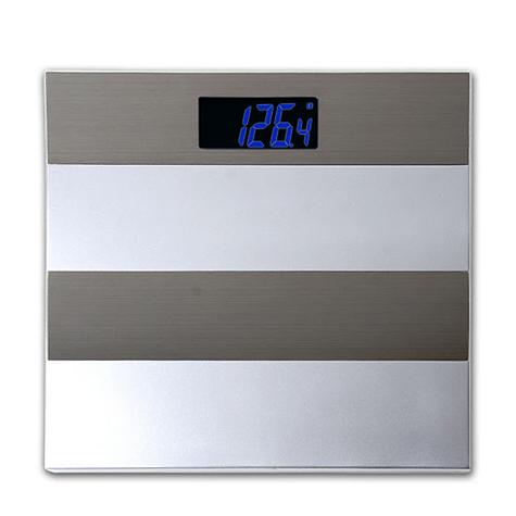Taylor USA  Stainless Steel Electronic Scale - Electronic Scales
